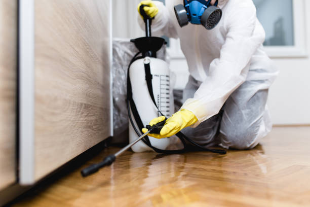Best Mosquito Control Services  in Ferron, UT