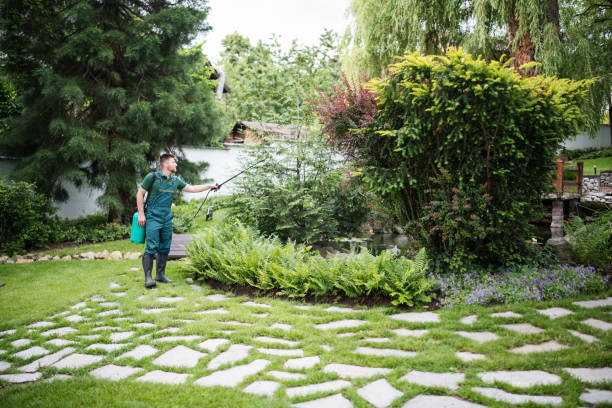 Best Pest Removal Services  in Ferron, UT